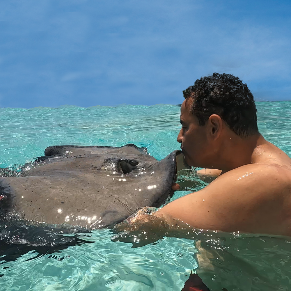 Forget the bling of Barbados, the Cayman Islands Offer Swimming With Stingrays, 6,000ft-deep Underwater Cliffs and Your Very Own Desert Island Getaway