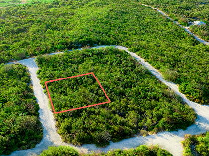Little Coral P10, North Coast East, Little Cayman - site photo
