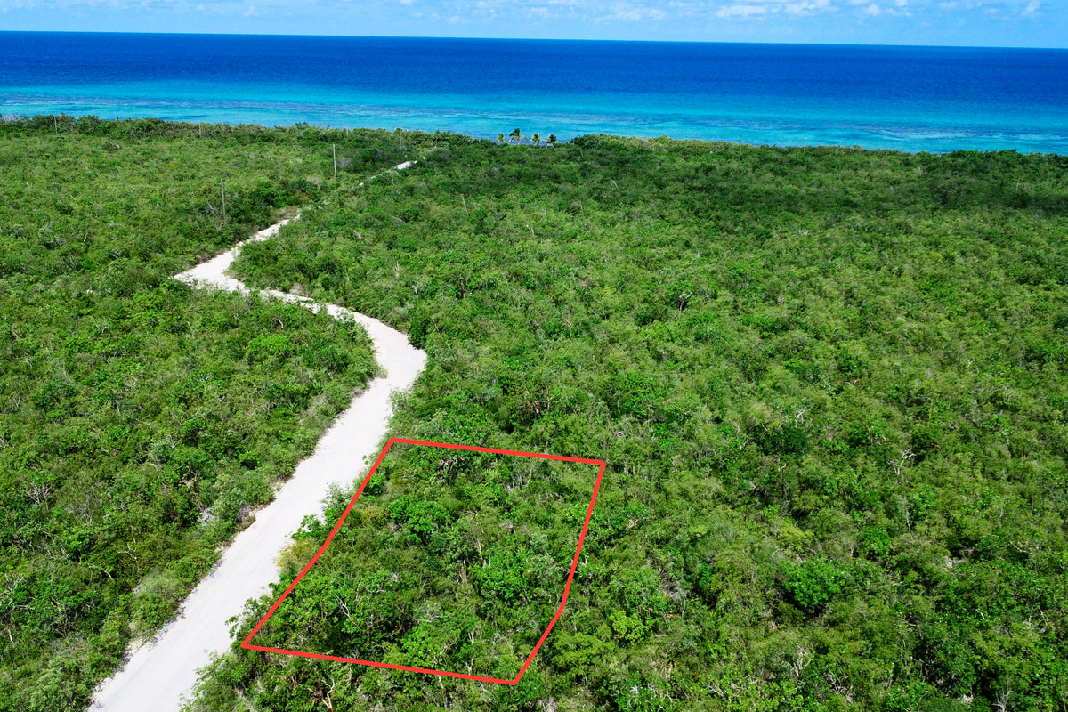 P2 Little Palm land view, Little Cayman