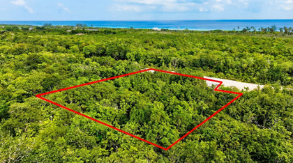 P15 Turtle Crossing freehold land lot on Little Cayman