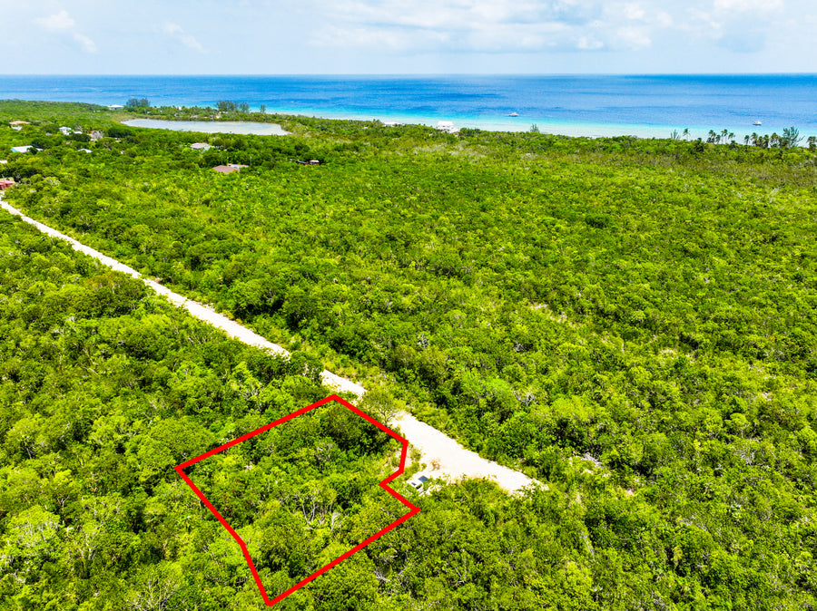 P15 Turtle Crossing